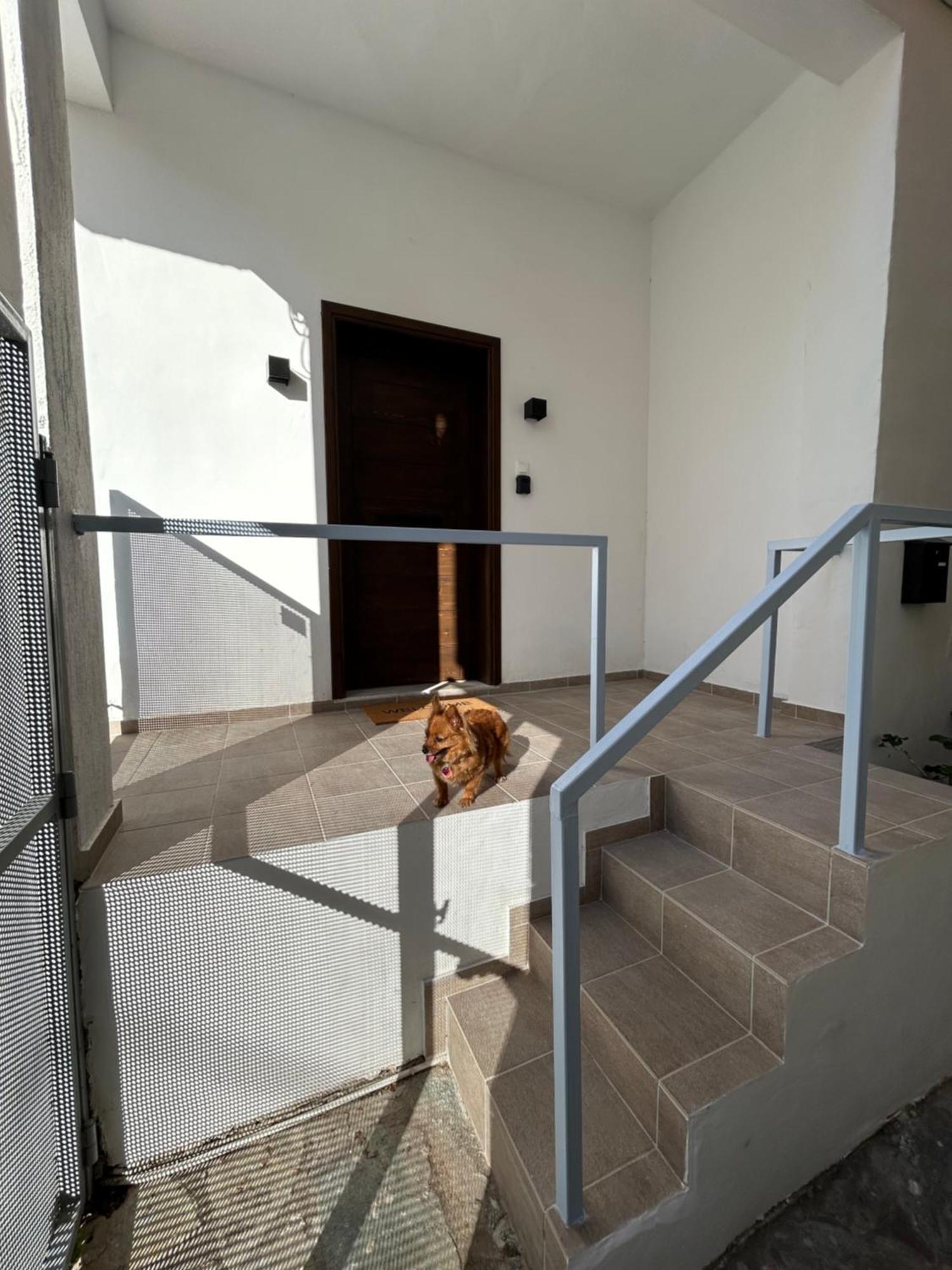 Stella'S Petite Boite Apartment Rafina  Exterior photo